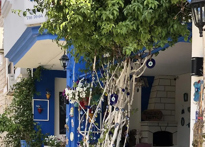 Beyaz Ev Konukevi 3*